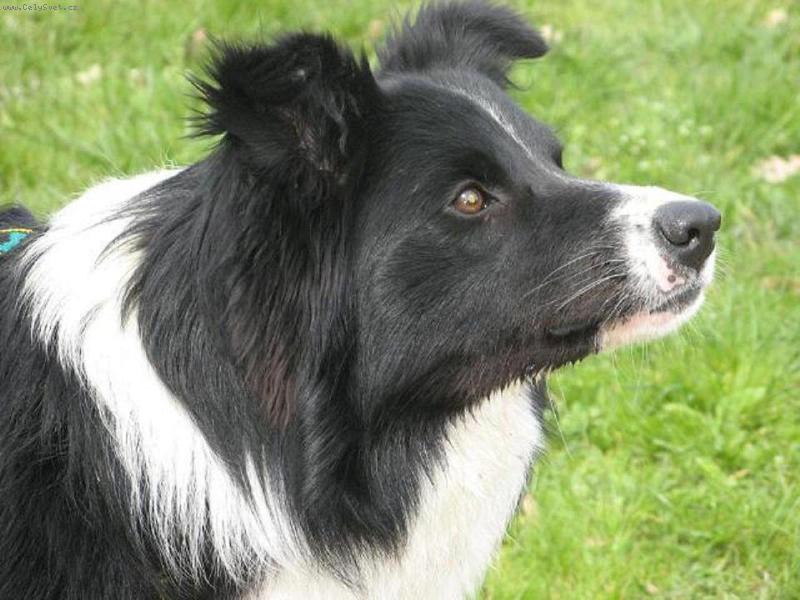 Foto: Hledame sourozence narozeny 31.5. ve Vid�i - bez PP-ozv�te se pros�m!:) stenli.c@seznam.cz