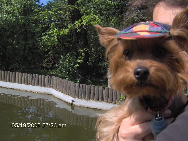 Foto: Tady m� pani�ky vzaly do lesoparku pod�vat se na zv���tka