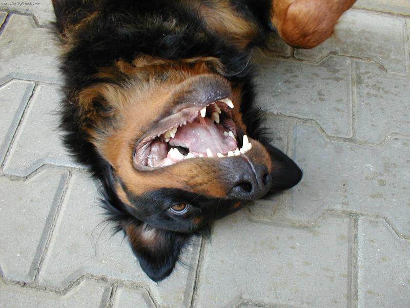 Foto: Letn� pohoda-pohoda