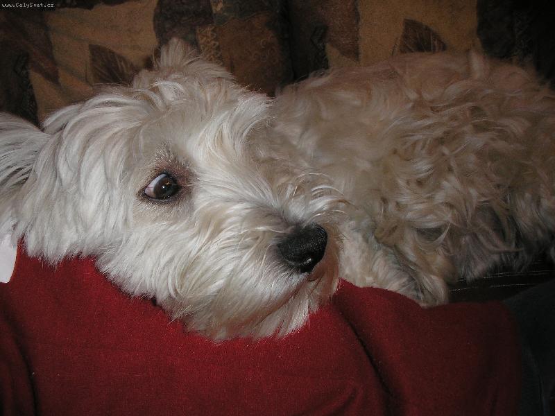 Foto: Je�i� co to jee!!!??