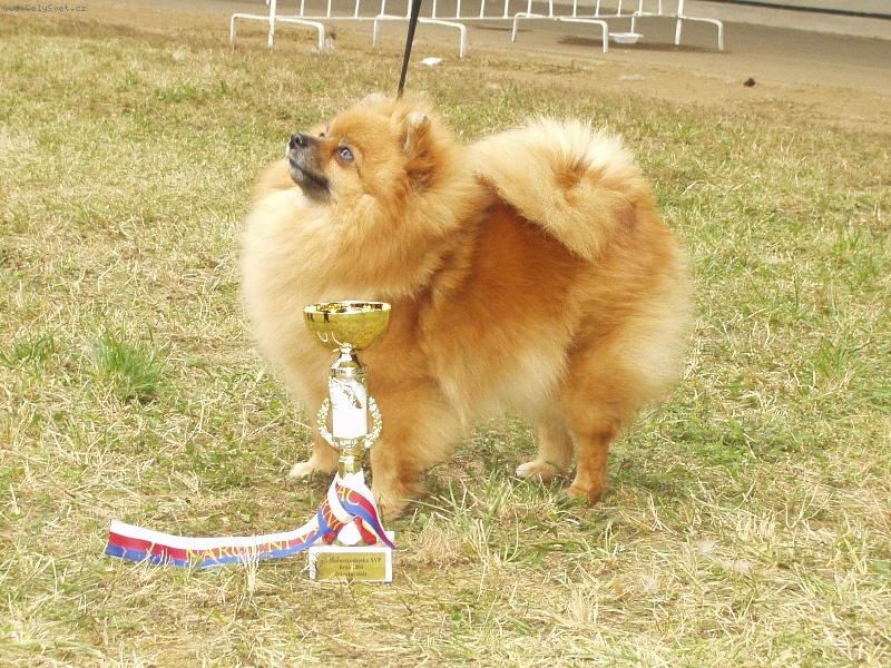 Foto: N�meck� �pic mal� - Aissi Sandir�-N�rodn� v�stava Brno BIG3