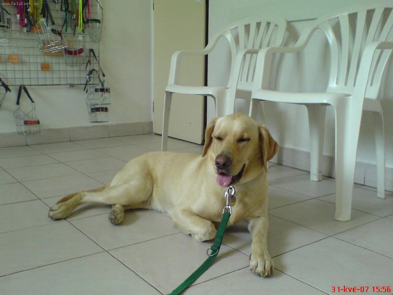 Foto: �ek�rna-Tady �ek� na dal�� serii injekc�...