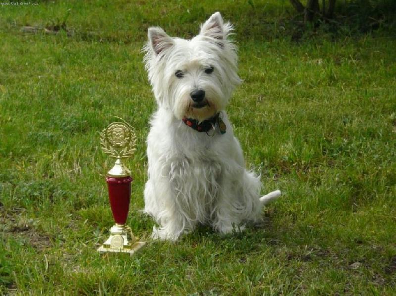 Foto: Meg - 1.m�sto v ps� v�estrannosti