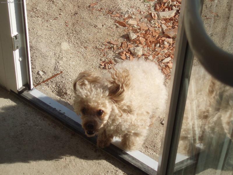 Foto: Moje prdelka...:-*