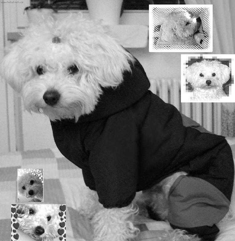 Foto: nas maly fotomodel :)-Maikki