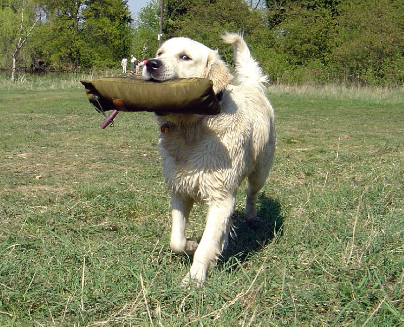 Foto: Aport-zbrusu nov� kilov� aport�k .. uhh to je t�ha