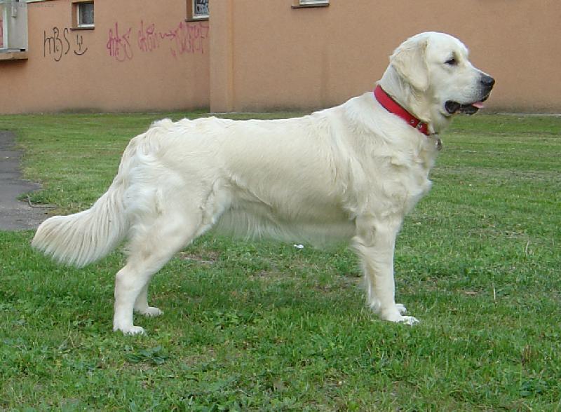 Foto: Voln� postoj-nebo n�co jako pokus o n�j