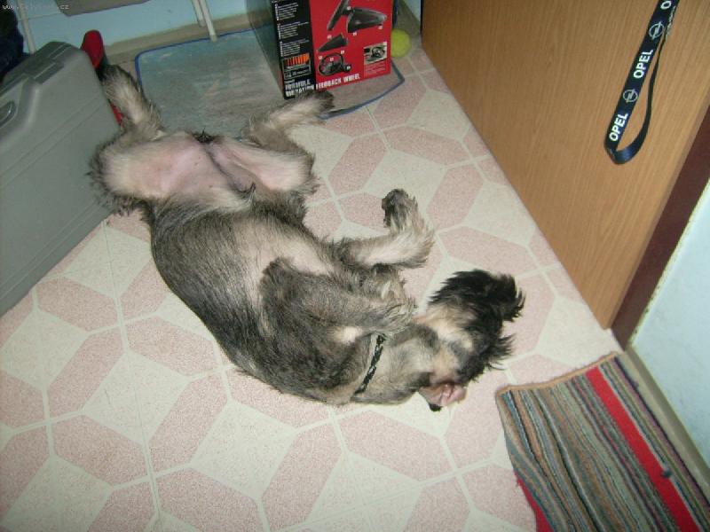 Foto: Cassandra Chov Pauli-Sp�nek udr�uje ml�d�.