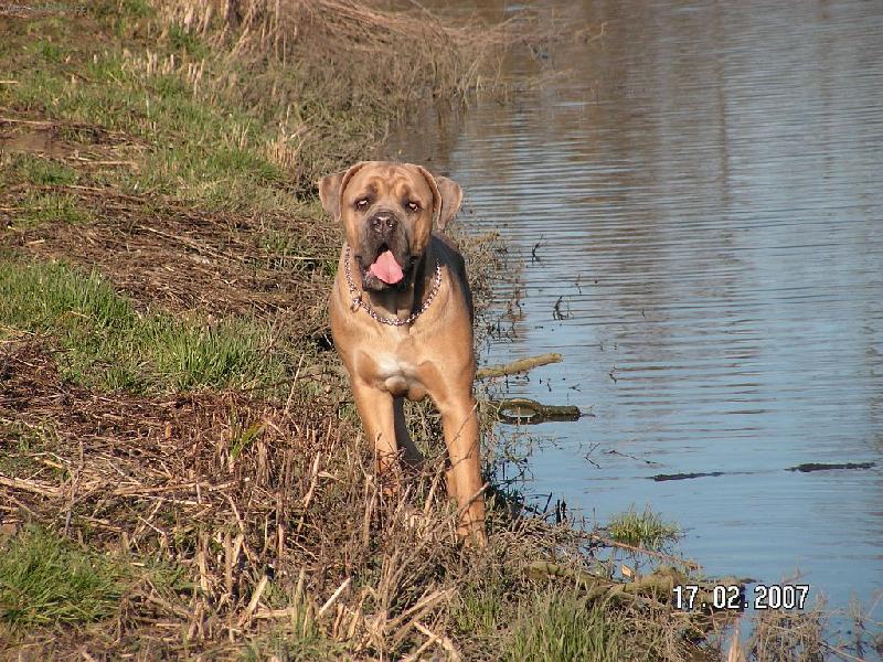 Foto: Aura Bella Diablo