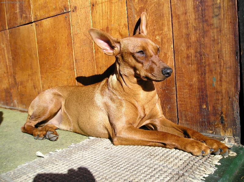 Foto: Mairra Marieta-siesta na slun��ku