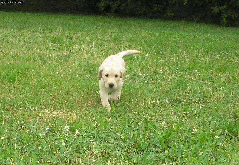 Foto: Brita-Sna�� se b�t aktivn�...