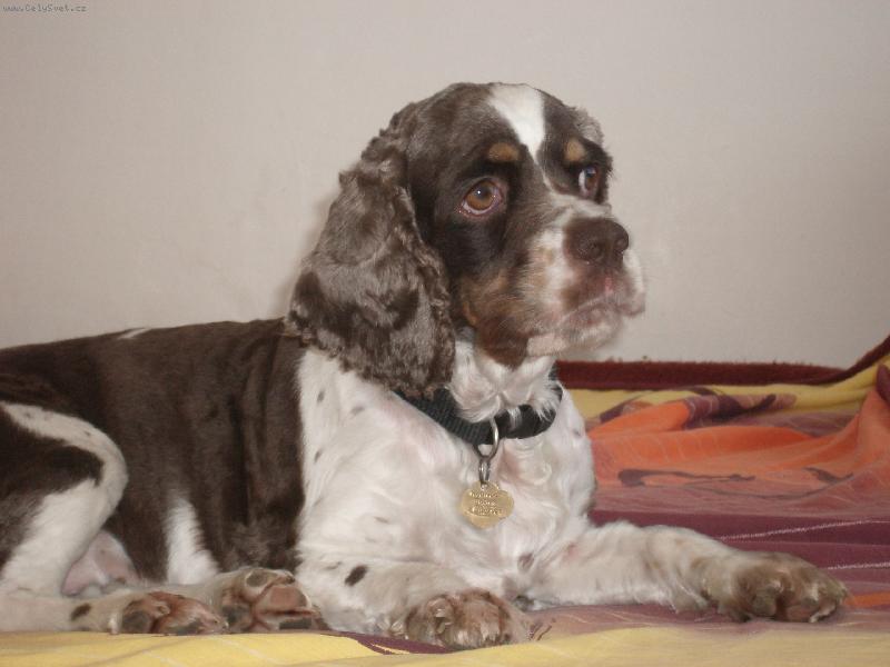 Foto: Mil��ek rodiny