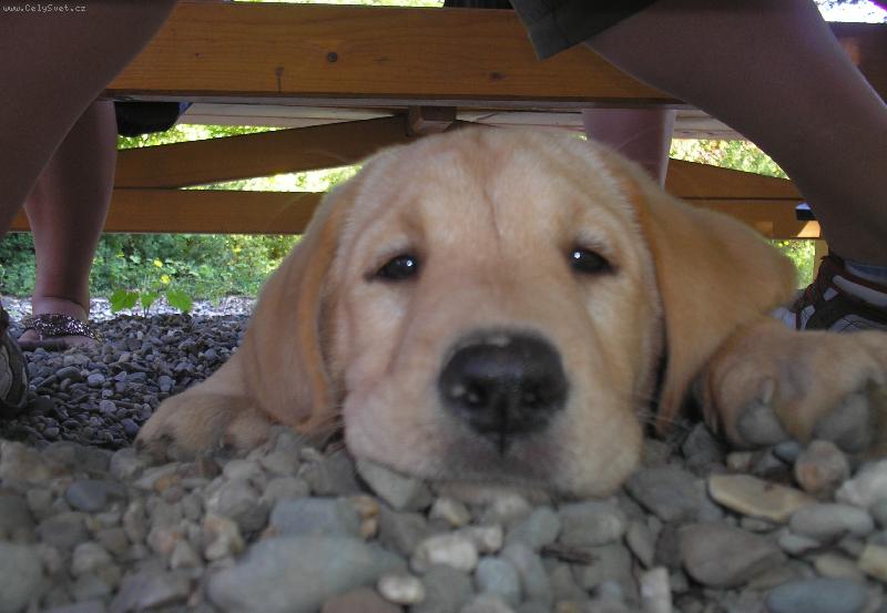 Foto: Brita-To je vega�