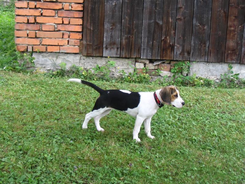 Foto: na�e Sindy- na dovolen� na Vala�sku