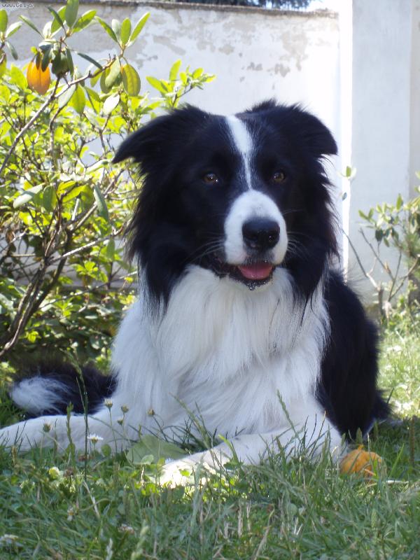 Foto: www.kuci.wbs.cz