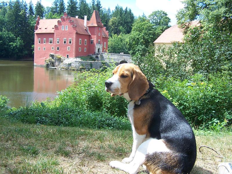 Foto: z�meck� p�n-Jon� - "z�meck� p�n na �erven� Lhot�"