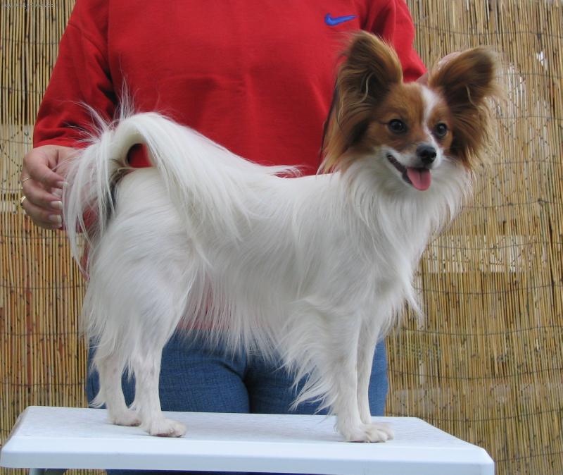 Foto: Estel Porubsk� kv�t-1 rok