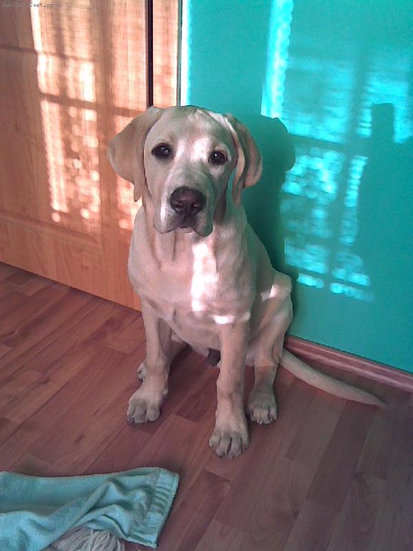 Foto: Max 7.m�s�c�-P�zuju spr�vn�??