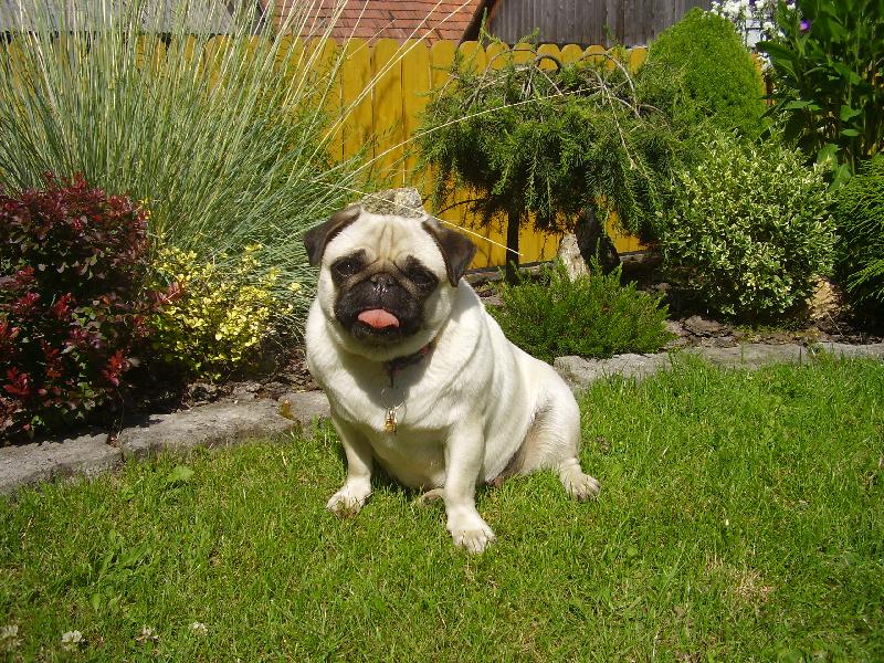 Foto: �ikinkirka-Tak toto je moja babika.