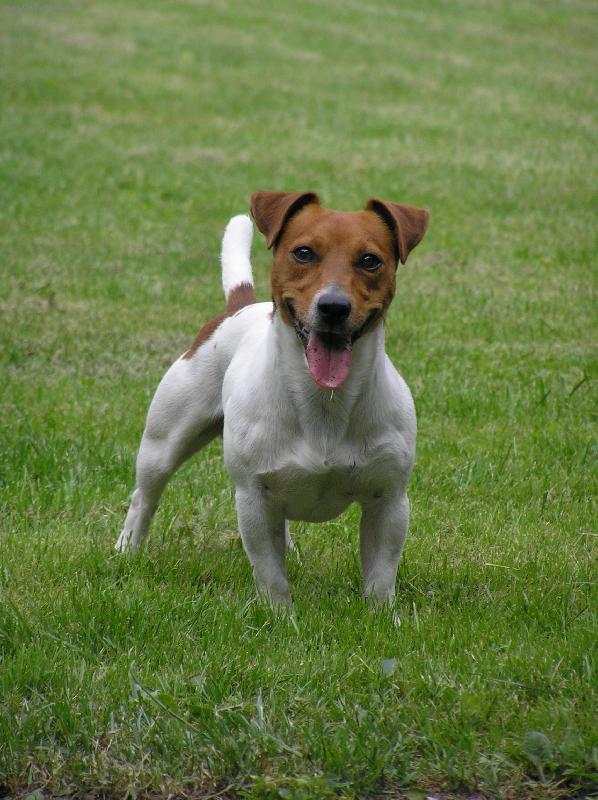 Foto: Bert�k-postoj