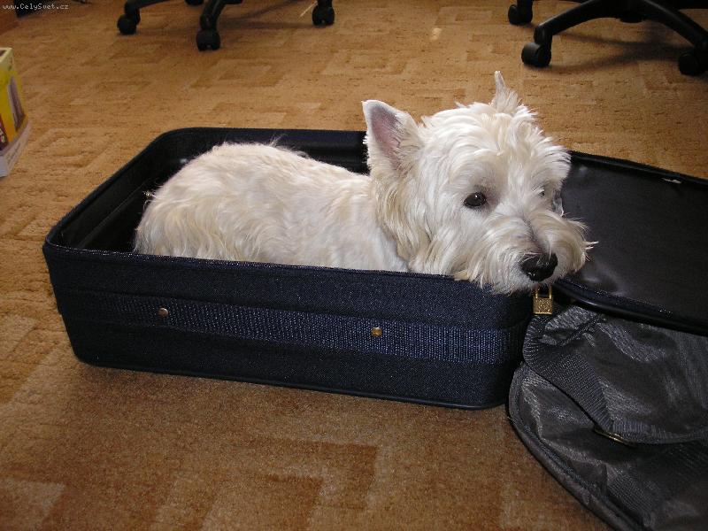 Foto: Bert�k-pojedu na dovolenou