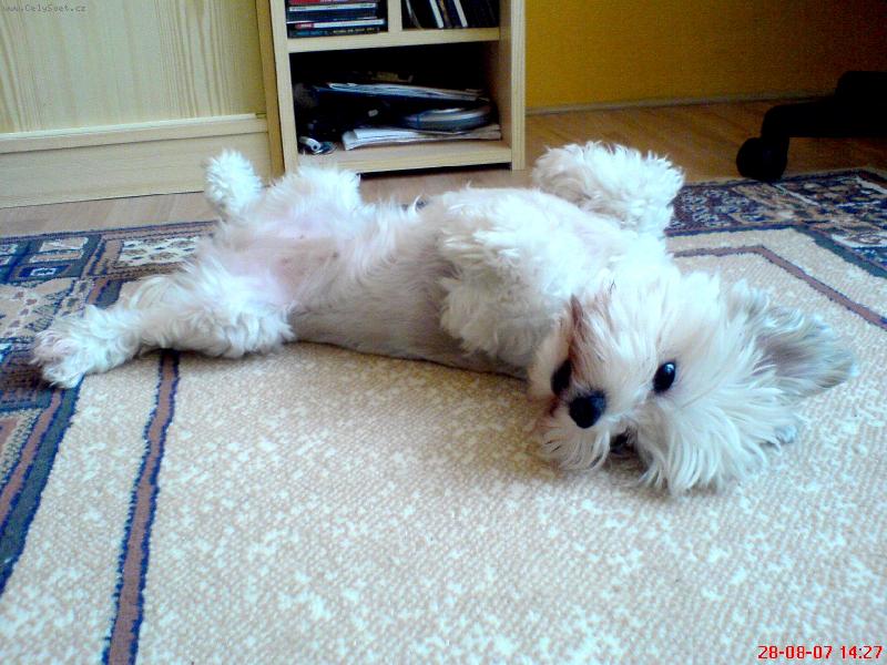 Foto: Nase Terezka-To si chtela zrovna hrat :)