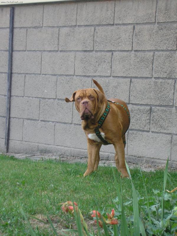 Foto: Gab�k-Bu bu bu :-)