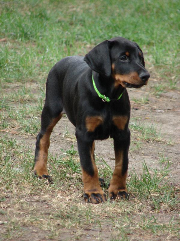 Foto: 8. t�den �iv�tka=o)