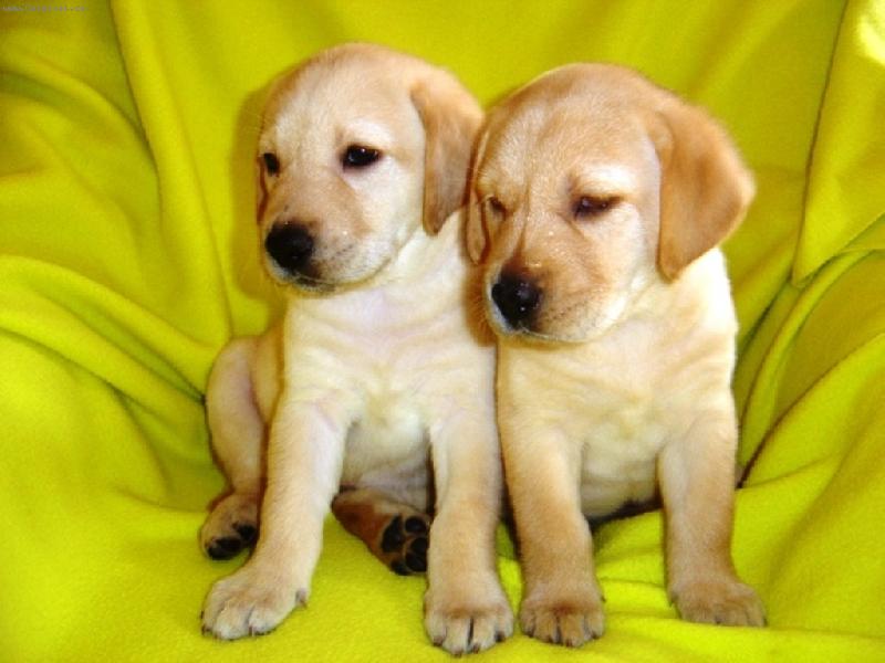 Foto: Arwen a Adie-zaujat� �t��ata