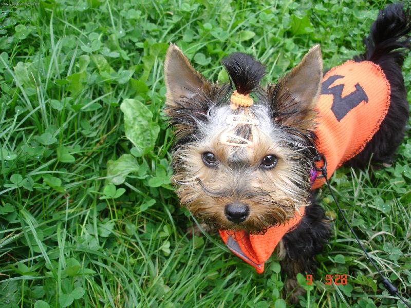 Foto: Mandy-Mandulky v nov�m oble�ku.