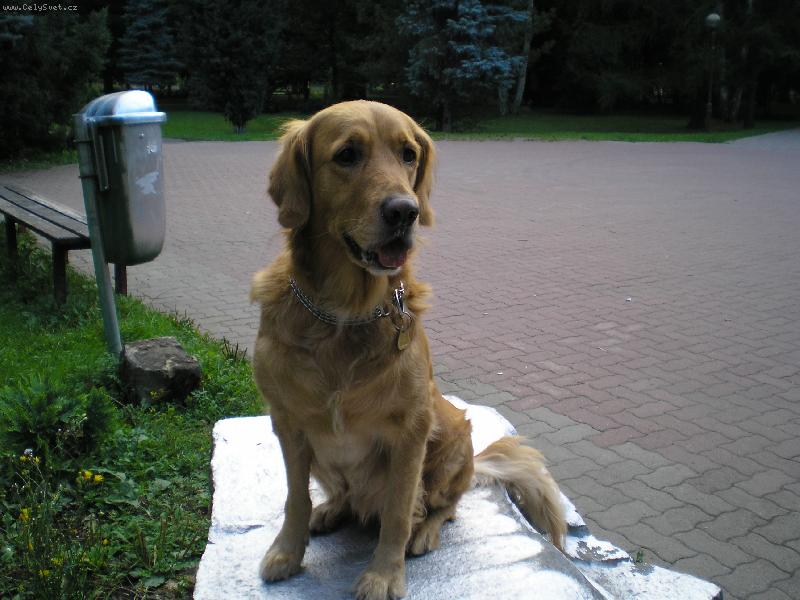 Foto: Tak todle je m�j real hafff!-muj real haf GL