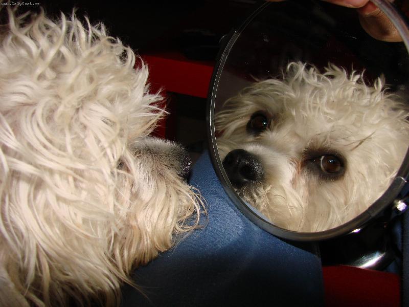 Foto: Jasm�na Okat� Fantazie