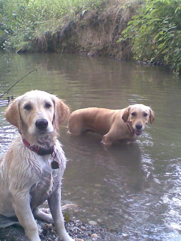 Foto: Ai�ka a Nugetka