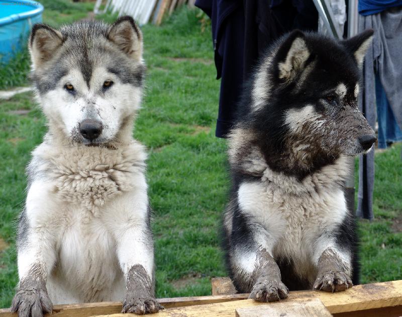 Foto: n�v�t�va kosmetick�ho salonu ......