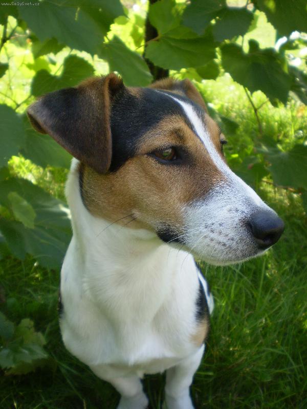 Foto: Bub�tek-�uf