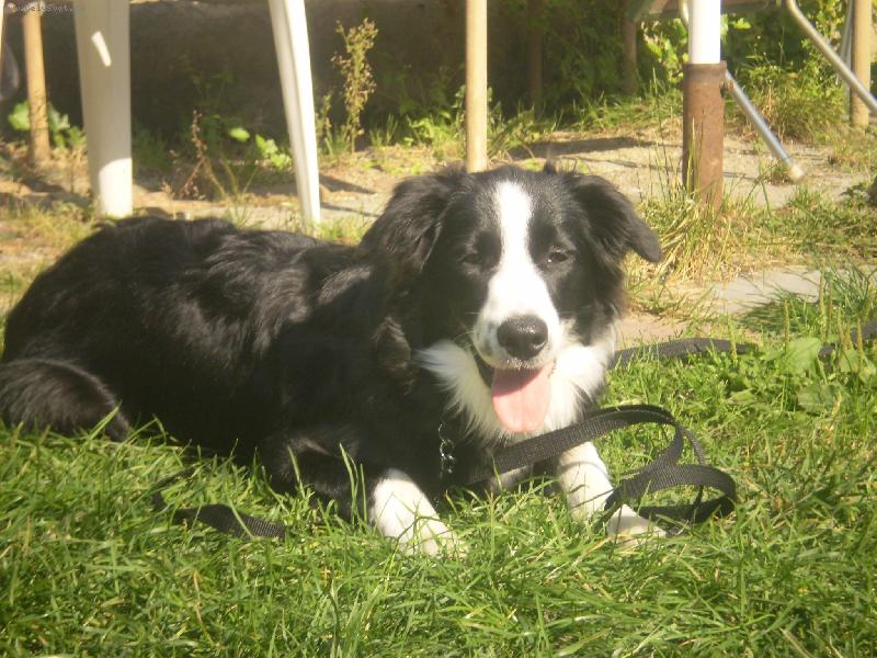 Foto: Deany, moje nejv�t�� l�ska