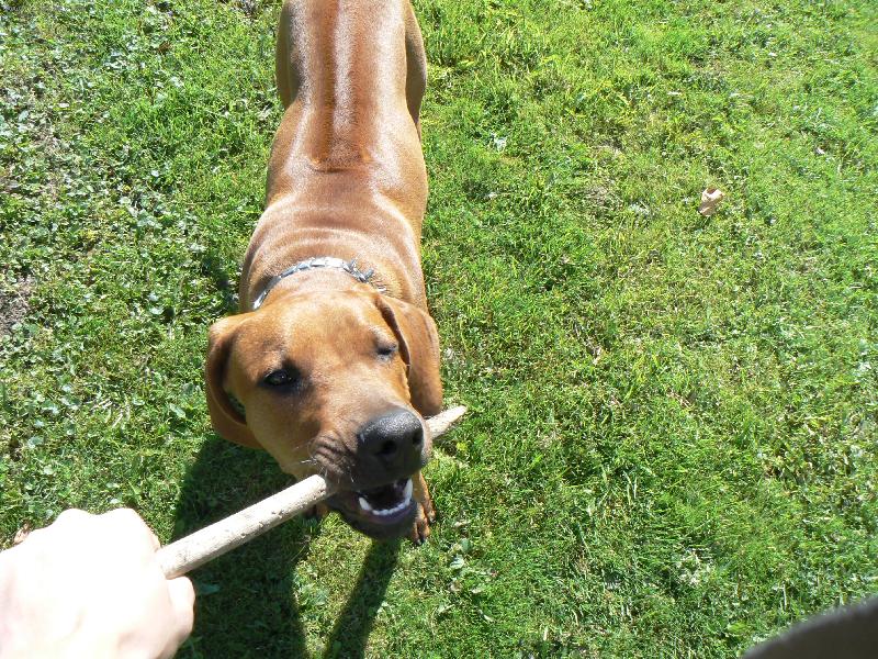 Foto: daxi (5 M)-to je m�j klacek