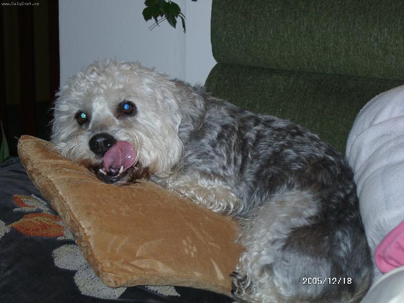 Foto: To je m�j pol�t��ek