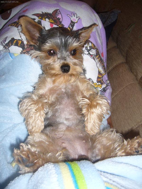 Foto: Elinka-To se mi to ale odpociva!