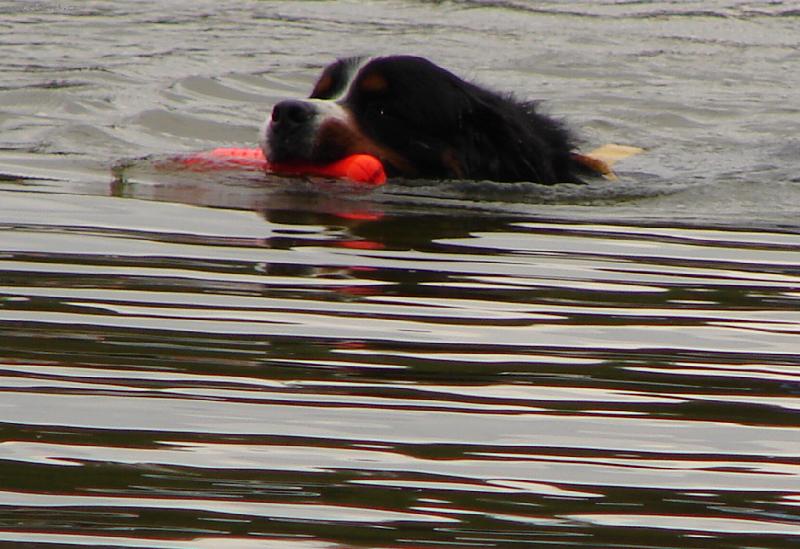 Foto: Largo z�chran��-V�cvik vodn�ch z�chran���, Relax konec srpna 2007