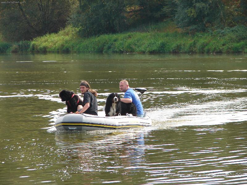 Foto: vodn� z�chran���-v�cvik vodn�ch z�chran��� - ATC Relax - konec srpna 2007