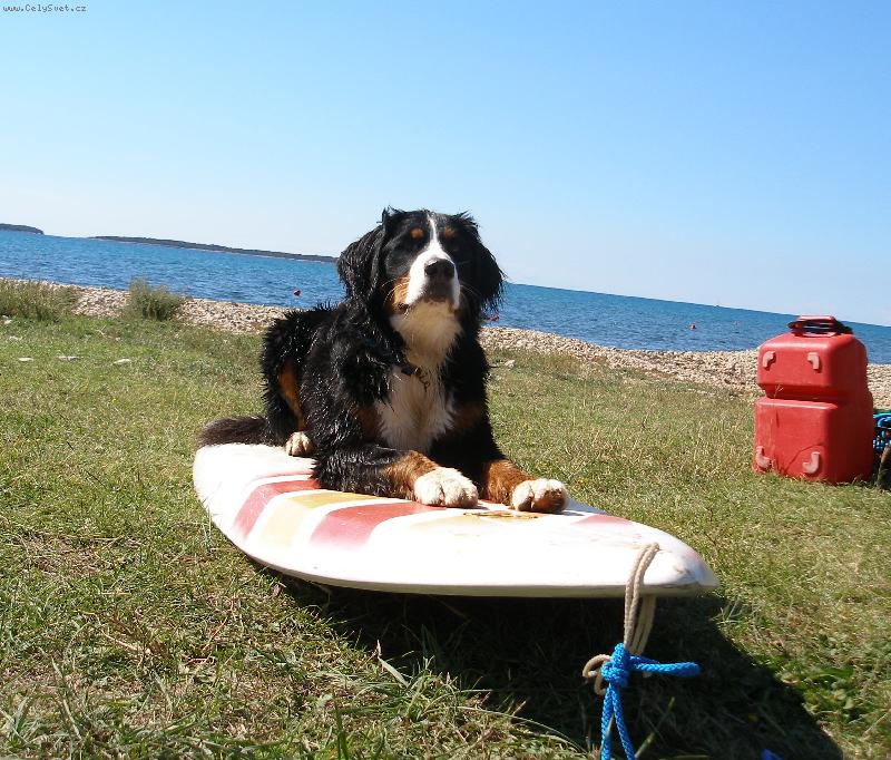 Foto: Trenink na surfov�n�-Chorvatsko z��� 2007