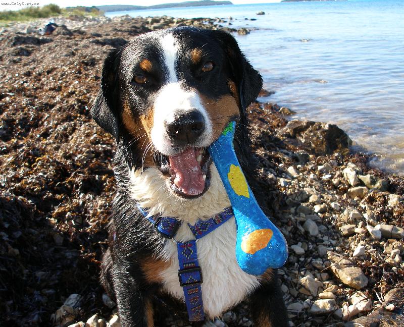 Foto: Milovan� hra�ka-Chorvatsko z��� 2007