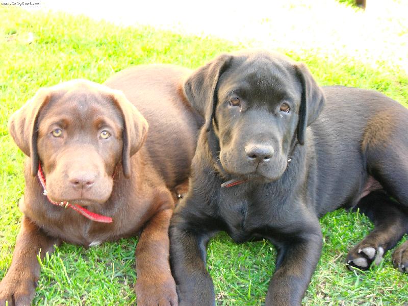 Foto: m�me se r�di-jsme krasavci