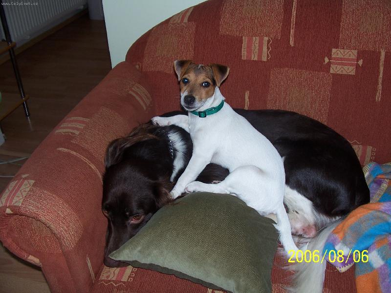 Foto: In Love Zona Bulls a Kamar�d