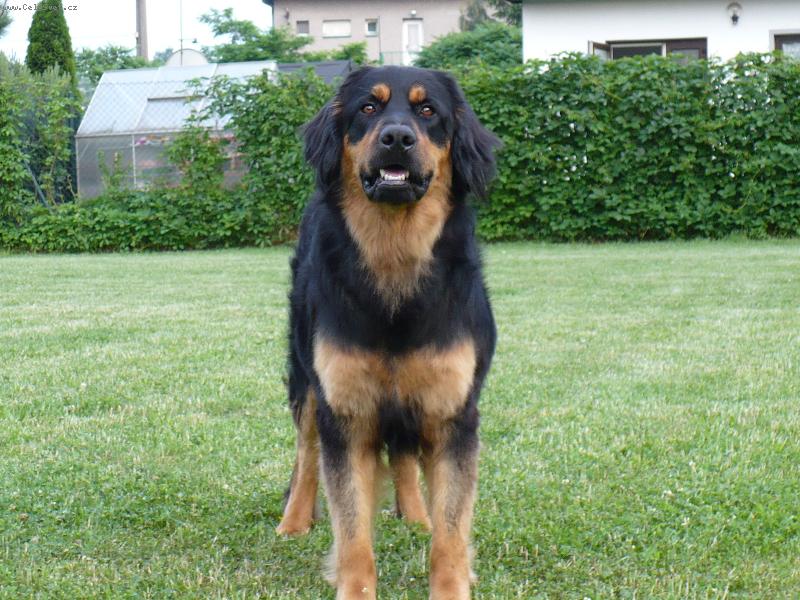 Foto: Moje zlat��ko