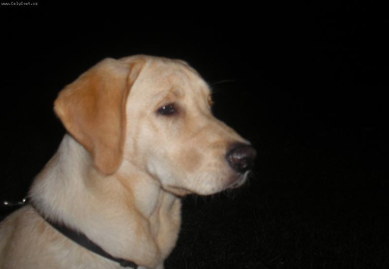 Foto: J�� hl�d�m