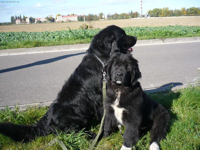 Foto: na�i dva NF kluci, Hagi a Indy-www.hagysek.estranky.cz