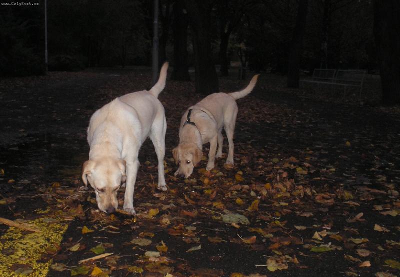 Foto: Gina a Brita-...