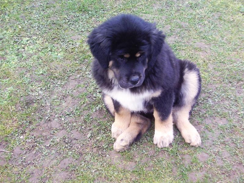 Foto: Alisha-3 mesiace